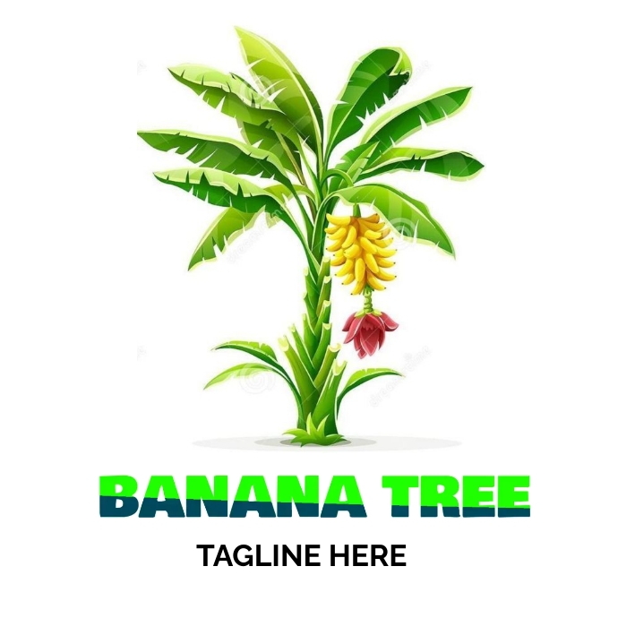 banana 🍌 tree logo 2023 best logo Templat PosterMyWall